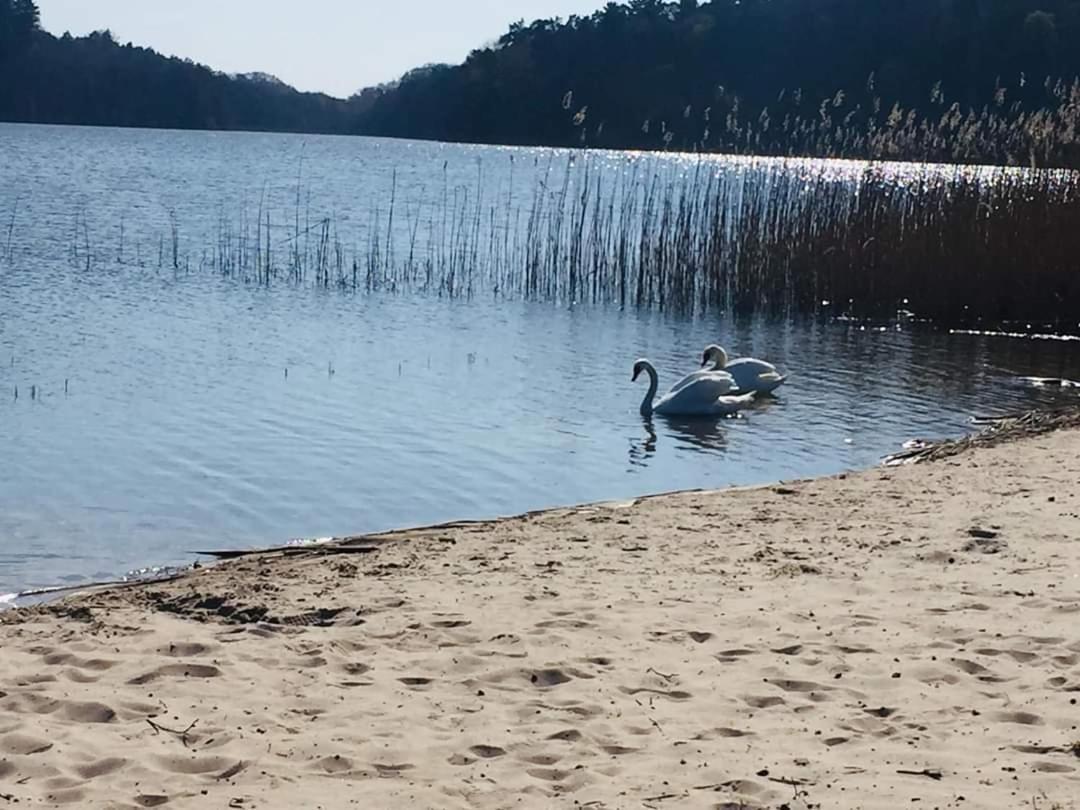 Apartament Nad Jeziorem Welle Kołczewo Exteriör bild